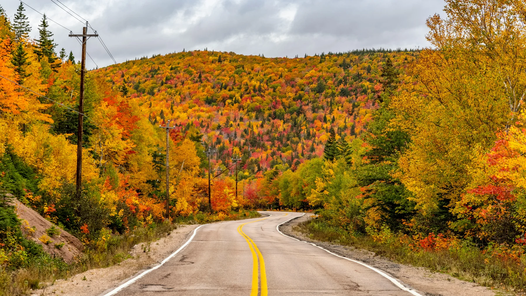 Autumn road · Thomas Lipke / Unsplash